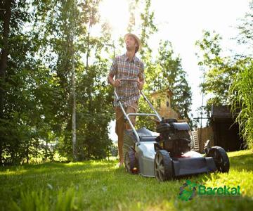 Lawn mower | Sellers at reasonable prices lawn mower