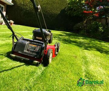 Best honda lawn mower + great purchase price